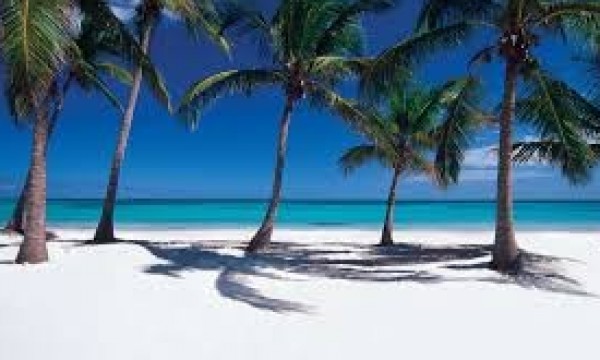 Punta Cana - Ocean Blue and Sand - Cupos Confirmados 2023