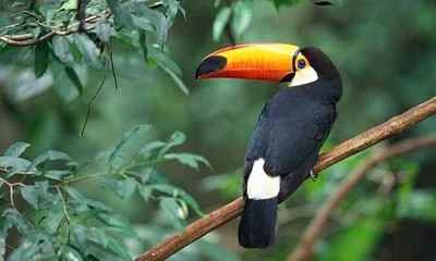 Iguazú Clásico 3*