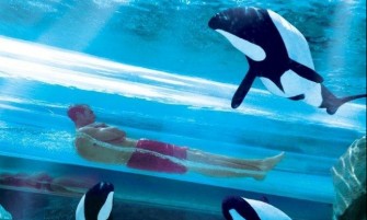 SeaWorld 2 Parques