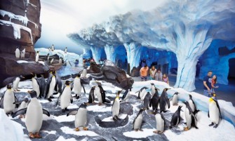 SeaWorld 2 Parques