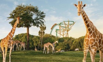 SeaWorld Parks Pase - Elige Tu Aventura 3 Visitas