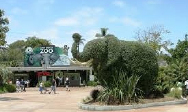 San Diego Zoo Admission Only