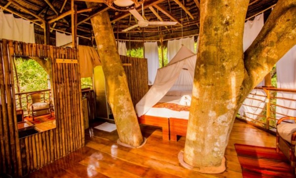 Perú - Tree House lodge