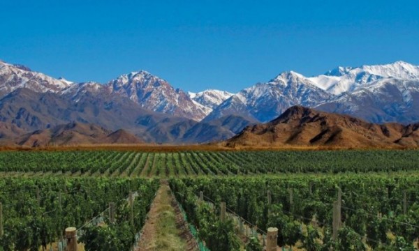 Vacaciones de Invierno 2025 – Mendoza / San Juan