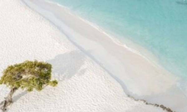 Riu Palace Aruba - Cupos Confirmados con Gol