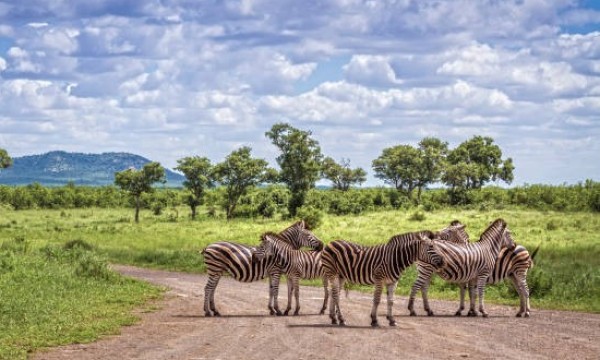 Salida grupal con aéreos - Lo Mejor de Sudafrica 2026 - 11 Noches 