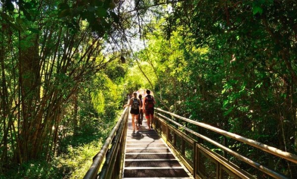 Escapate a Iguazú un Feriado Largo